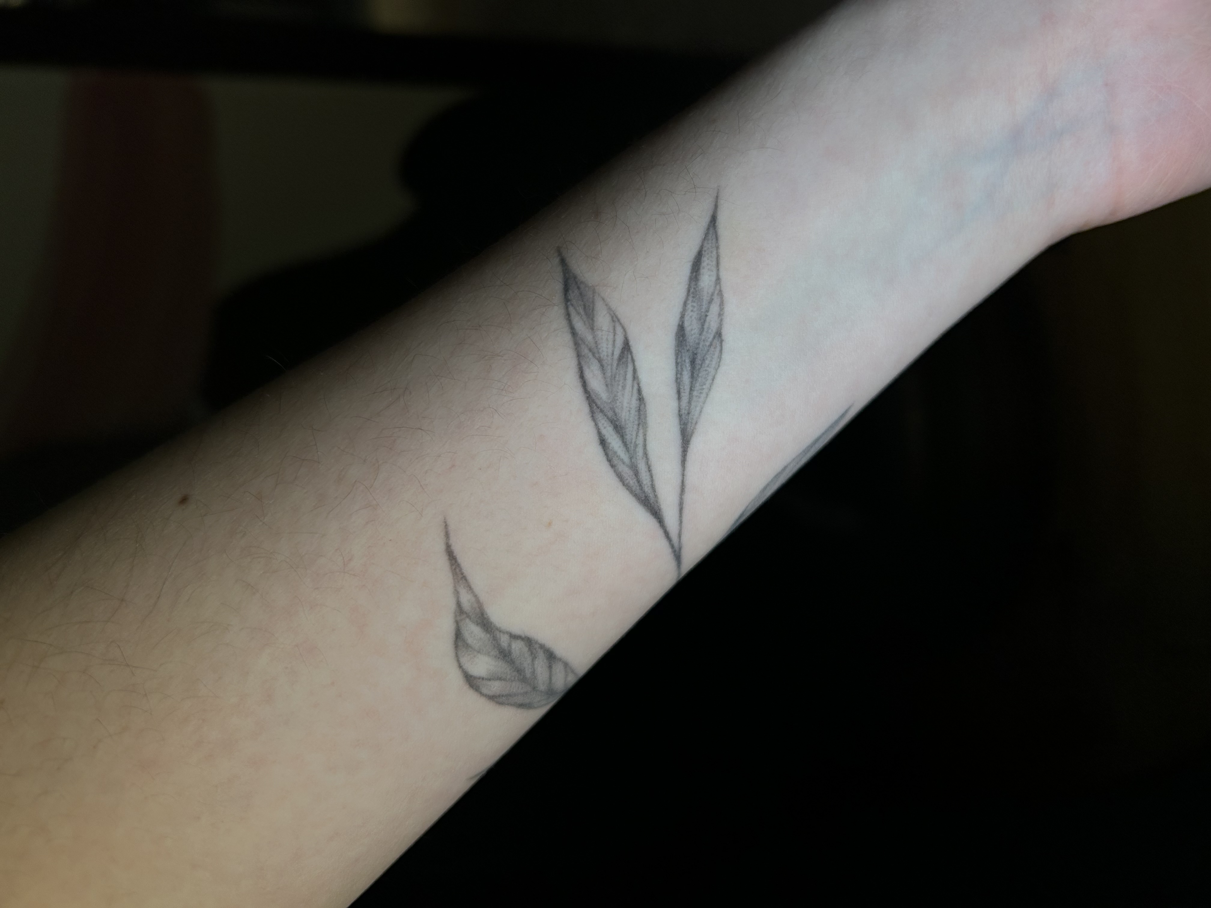 Tattoo image